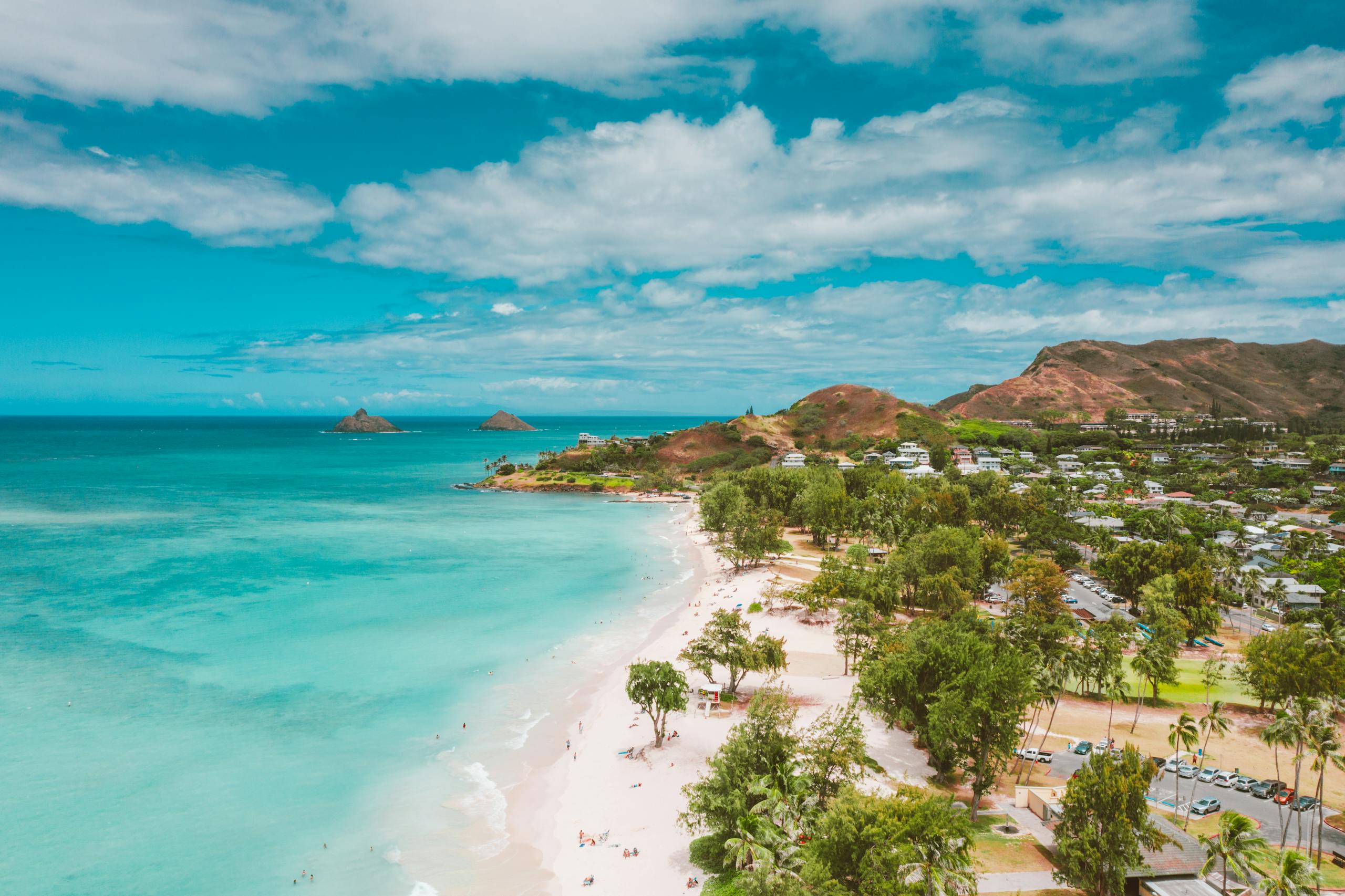 Green Trees Along Beach Shore